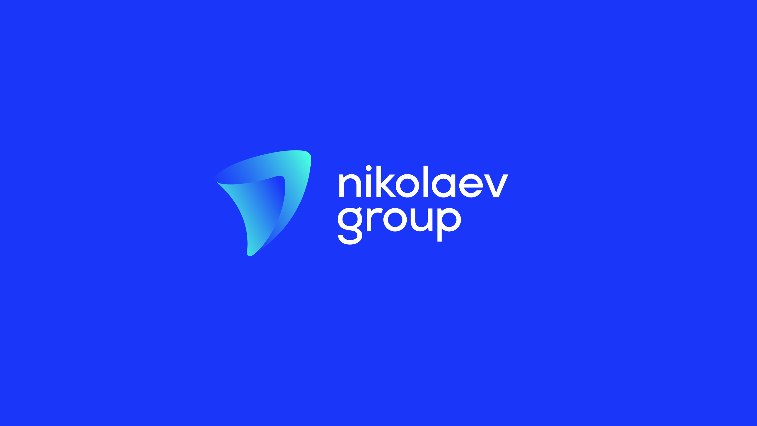 Николаев груп