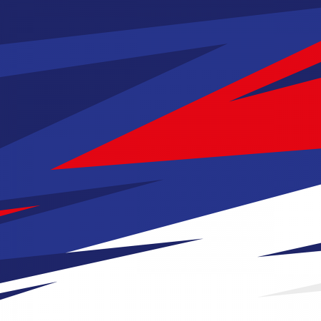Логотип и айдентика Чемпионата России по дзюдо