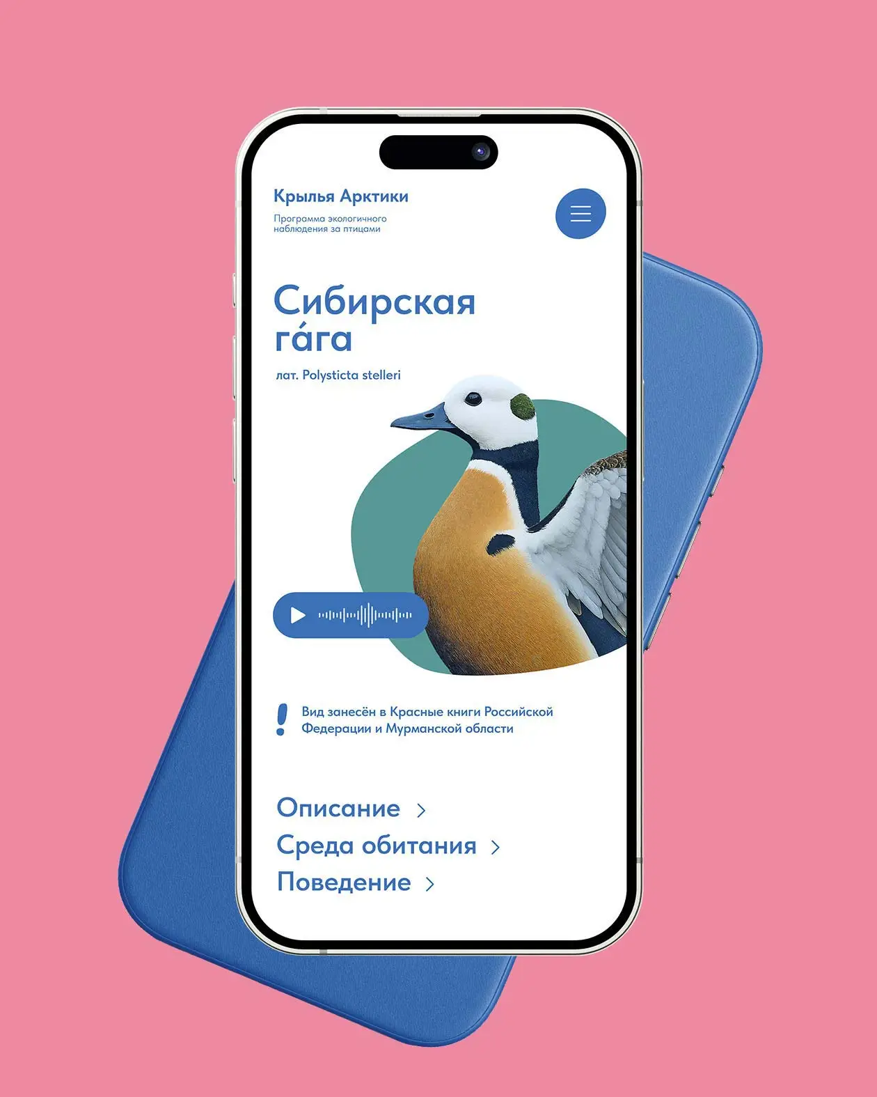Дизайн полиграфии: брошюра и карта природного парка Териберка в фирменном стиле