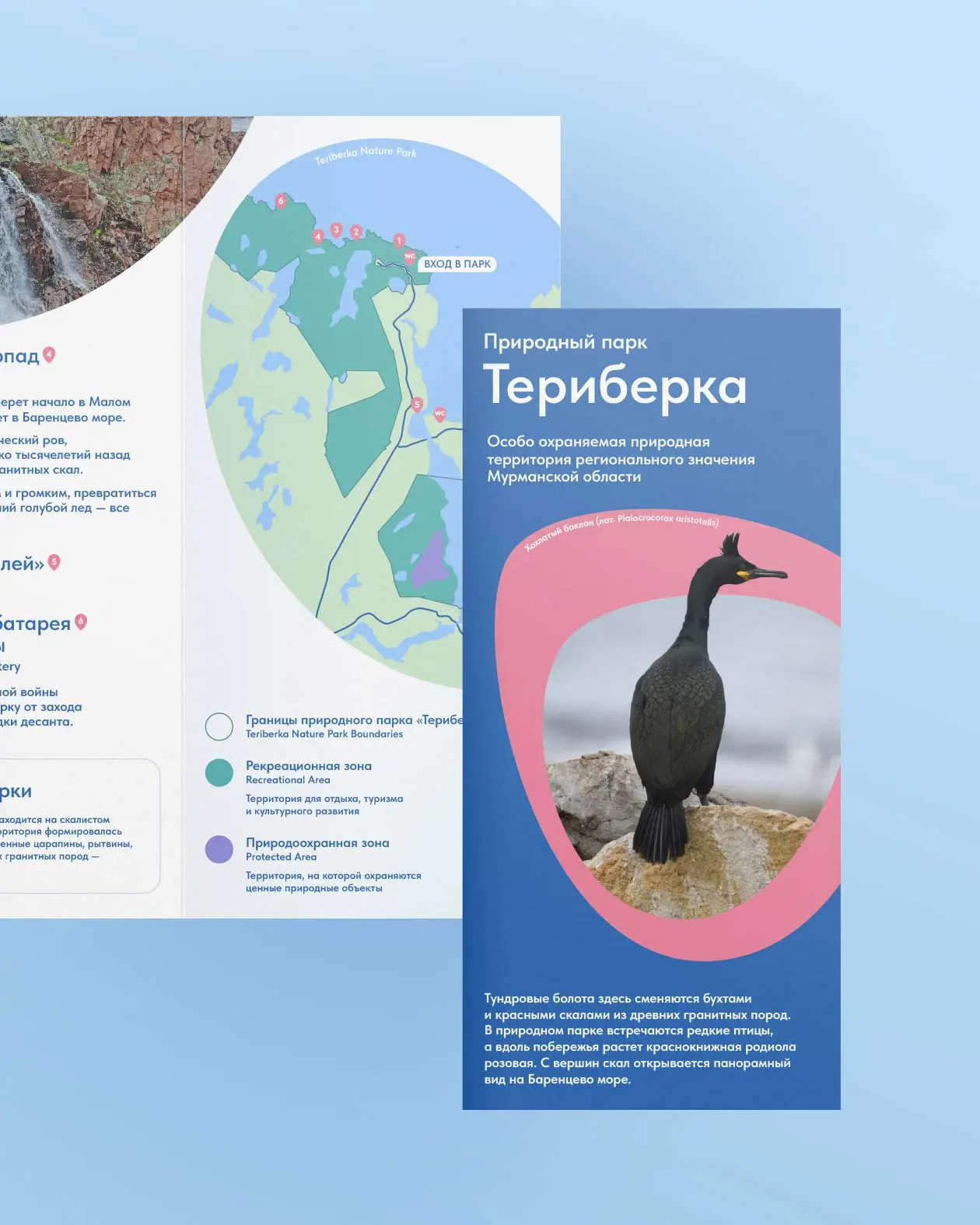 Смартфон с открытым мобильным приложением, интерфейс для бердвотчинга