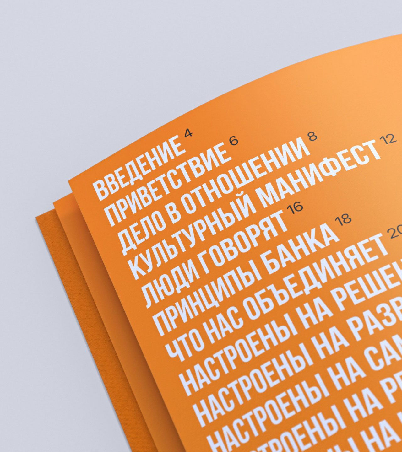 Фрагмент обложки Оранжевой книги с перечислением корпоративных принципов